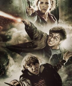 Diamond Painting Harry Potter PK10