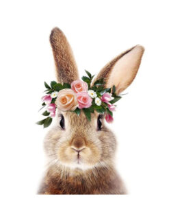 Diamond Painting Bunny PK116