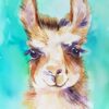 Diamond Painting Llama PK148