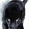 Diamond Painting Panther PK213