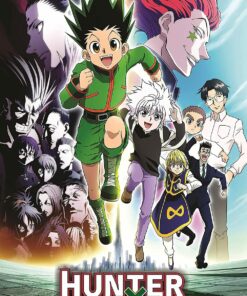 Diamond Painting Hunter x Hunter PK222