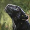 Diamond Painting Panther PK306