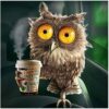 Diamond Painting Owl PK318