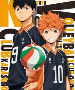 Diamond Painting Haikyuu PK319