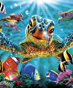 Diamond Painting Turtle PK52