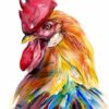 Diamond Painting Rooster PK89