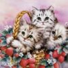 Cat In The Basket Diamond Painting Kit - DIY