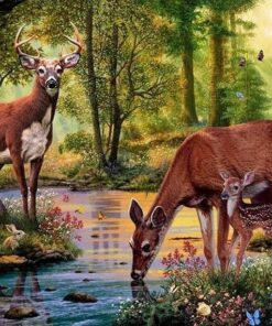 Deer in the forest drinking water Diamond Painting Kit - DIY