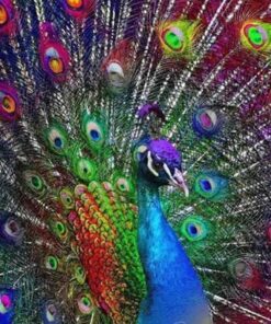 Peacock Home Diamond Painting Kit - DIY