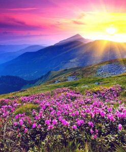 Landscape Sunrise And Purple Flower Diamond Painting Kit - DIY