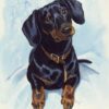 Snow In The Dog Diamond Painting Kit - DIY