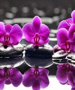 Flower In Water Diamond Painting Kit - DIY