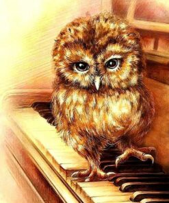 Owl Playing Piano Diamond Painting Kit - DIY