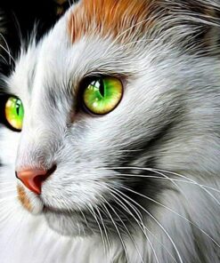 Melancholy Cat Diamond Painting Kit - DIY