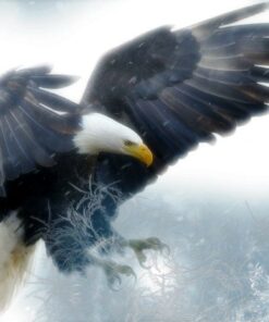 Bald Eagle Diamond Painting Kit - DIY