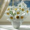 White Daisies Diamond Painting Kit - DIY