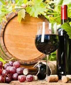 Fruit and wine Diamond Painting Kit - DIY