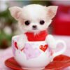Cute Dog In The Cup Diamond Painting Kit - DIY