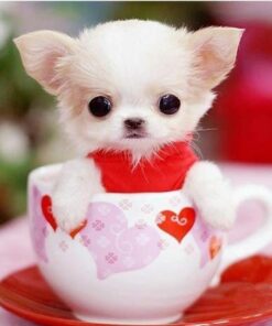 Cute Dog In The Cup Diamond Painting Kit - DIY