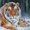 Tiger Diamond Painting Kit - DIY
