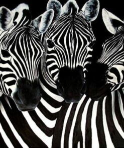 Animal Zebra Diamond Painting Kit - DIY
