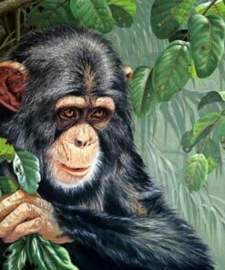 Gorilla Baby Diamond Painting Kit - DIY