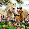 Horses Mon Diamond Painting Kit - DIY