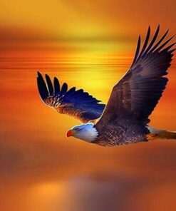 Eagle Orange Sunset Diamond Painting Kit - DIY