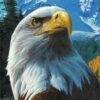 Eagle Seeing Diamond Painting Kit - DIY