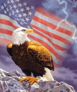 Eagles Flag And Thunder Diamond Painting Kit - DIY