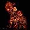 Tiger Lights Diamond Painting Kit - DIY