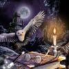 Owl Night Book Diamond Painting Kit - DIY