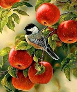 Bird In Apple Diamond Painting Kit - DIY