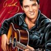 Elvis Presley Guitar Diamond Painting Kit - DIY