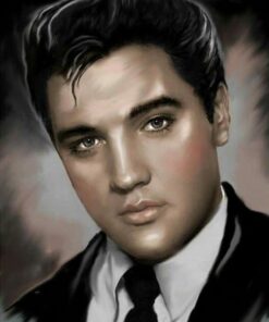 Elvis Presley Caricature Diamond Painting Kit - DIY