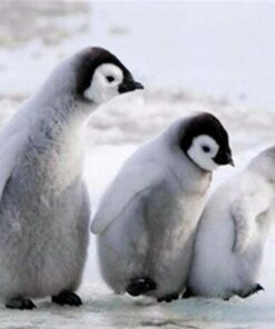 Three Lovely Penguins Diamond Painting Kit - DIY