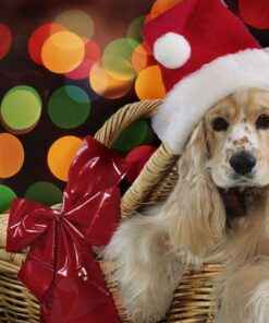 Dog Christmas Toy Diamond Painting Kit - DIY