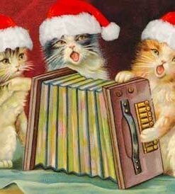 Cat Christmas Funny Diamond Painting Kit - DIY