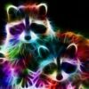 Raccoon Colors Diamond Painting Kit - DIY