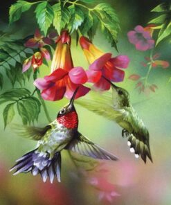 Hummingbird Full Flowers Diamond Painting Kit - DIY