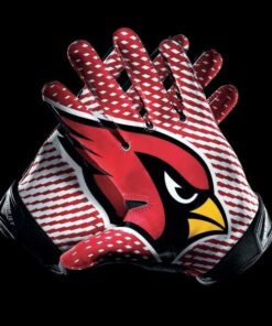 Cardinal Gloves Diamond Painting Kit - DIY