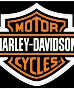 Harley Motor Diamond Painting Kit - DIY
