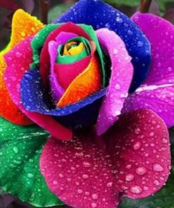 Rainbow Rose Diamond Painting Kit - DIY