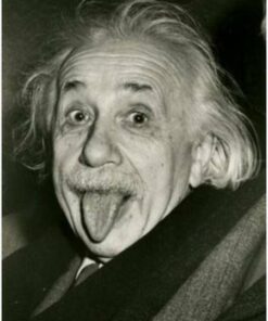 Scientist Albert Einstein Diamond Painting Kit - DIY