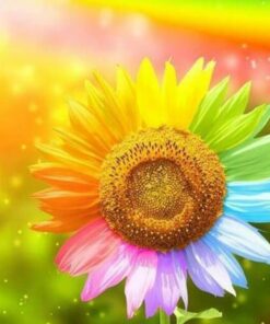 Rainbow Flowers Diamond Painting Kit - DIY Rainbow Flowers-1