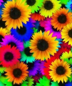Rainbow Flowers Diamond Painting Kit - DIY Rainbow Flowers-5