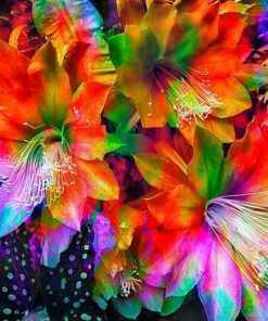 Rainbow Flowers Diamond Painting Kit - DIY Rainbow Flowers-14