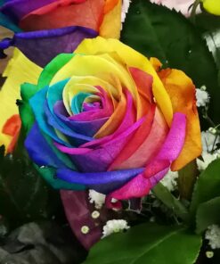 Rainbow Flowers Diamond Painting Kit - DIY Rainbow Flowers-15