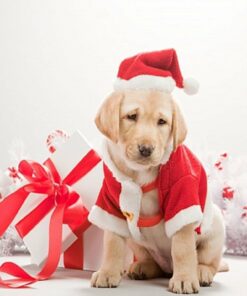 Christmas Diamond Painting Kit - DIY Christmas-13