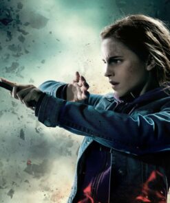 5d Harry Potter Diamond Painting Kit Premium-6